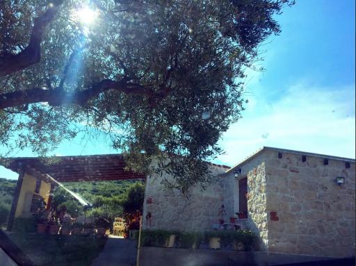 Country House at Alexandroupoli (Dikella) - Housity