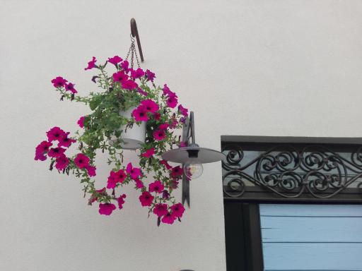 Tambien B&B - Housity