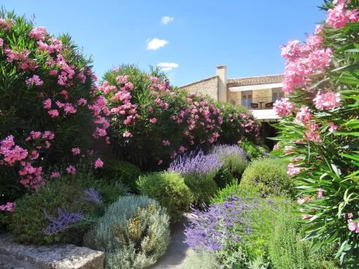 Le Jas de Gordes - Housity
