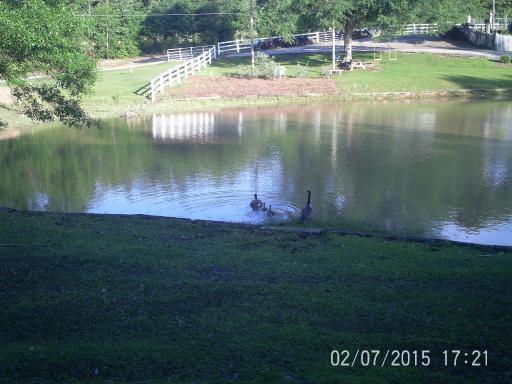 Oak Grove Apartment Hattiesburg, MS - Housity