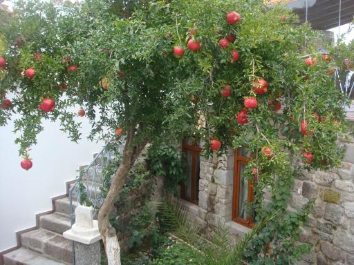 Hera Hotel - Housity