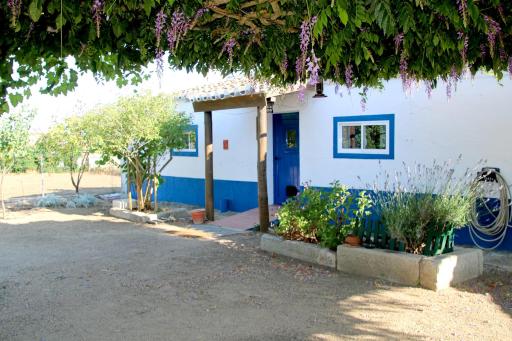 Monte da contenda - Housity