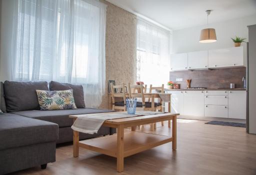 Downtown pedestrian zone apartment - Hizvo