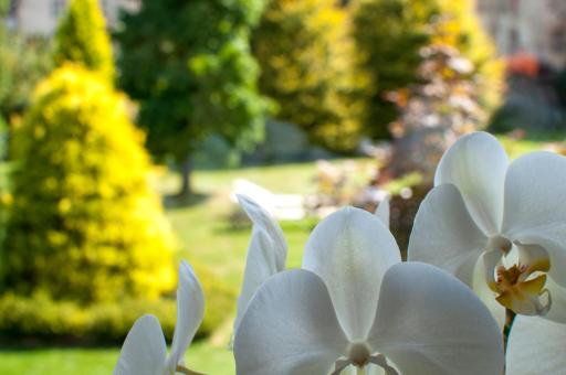 Il giardino segreto - SPORT & RELAX - Housity