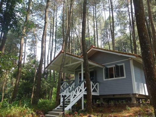 The Pine Forest Villas - Housity