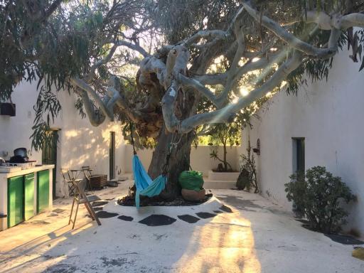 Patio II studio at finca - Housity
