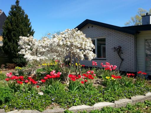 Mini-apartment in the flowerbed - Housity