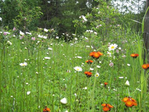 Wild Nature B&B - Housity