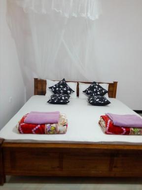 Windy Nest - Housity