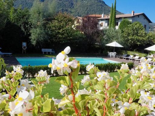 Vittoria Residence - Housity