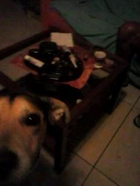 69 Via Luigi Angrisani-casa di zeus - Housity