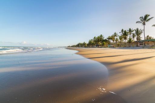 Apartamento plus a 500m das praias do sul - Housity