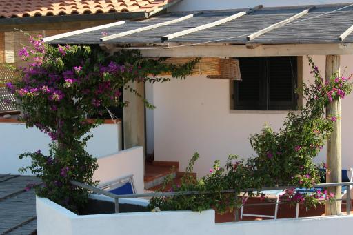 Un salto nel blu - Housity