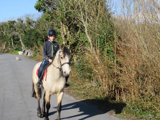 Heatherhill Farm Cottage in Letterfrack beside Connemara National Park - Housity