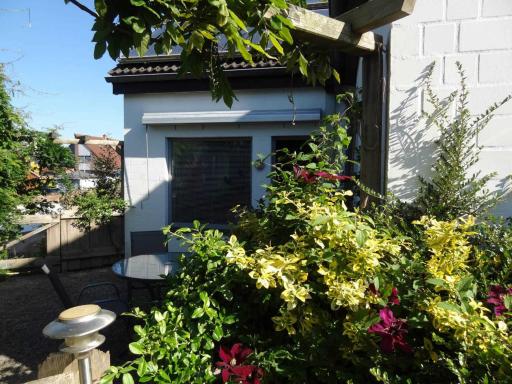 Heidelberg Viola - Housity