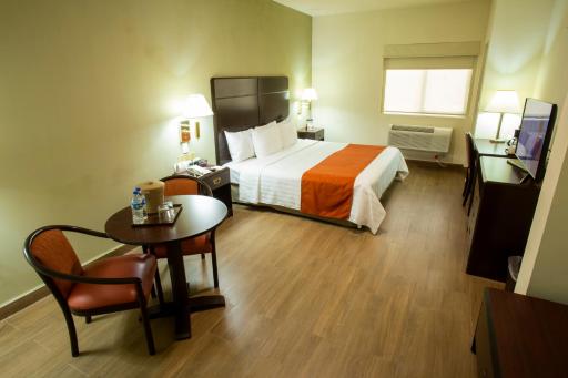 Hotel Plaza Calzada - Housity