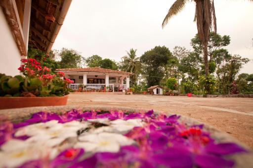 The Blue Mountains Estate Stay - Housity