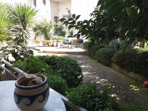 House Aleks - Housity
