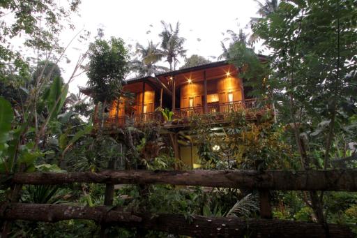 Jungle Joglo - Housity