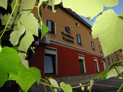 Gostilna Tratnik - Housity