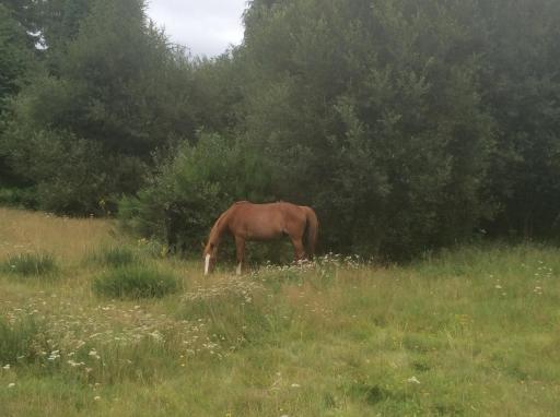 Appartement Vert, Compreignac - Housity