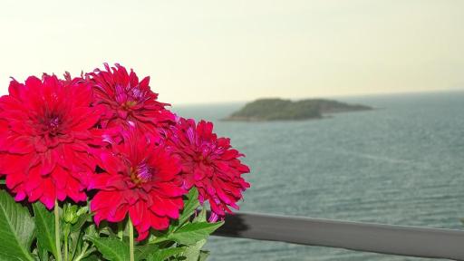 Hotel Meta Ksamil - Housity