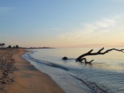 Village Del Mar - Corse - Housity