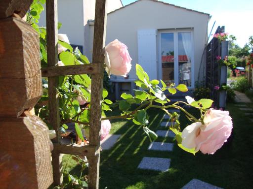 15mn à pied OCÉAN STUDIO avec Vrai lit LINGE FOURNI JARDIN - Housity