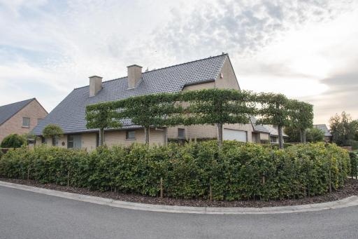 VILLA WESTHOEK - Housity