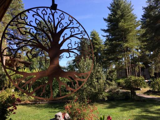 Murmures d'Arbres - Housity