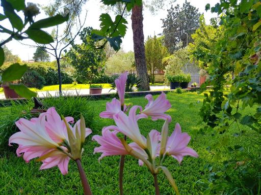B&B Welcome - Housity