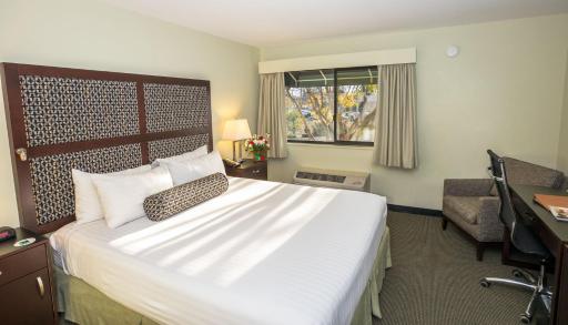 Maple Tree Inn - Housity