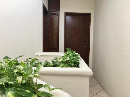 Casa Baraka, Casa Vacacional en Mazatlán cerca de Malecón, Centro Histórico y Playa - Housity