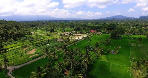 De Klumpu Bali Eco Tradi Stay - Housity