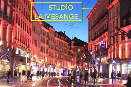Studio La Mésange - Housity
