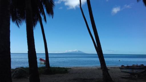 Palm View - Housity