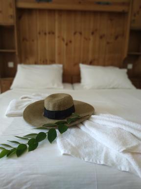Amiad Joseph Well Country Inn - Housity