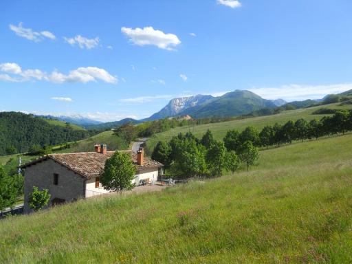 Agriturismo Le Castellare - Housity