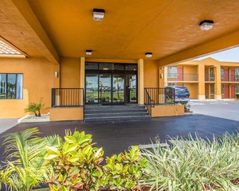 Sunset Palm - Housity