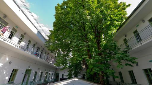 The Hive Party Hostel Budapest - Housity
