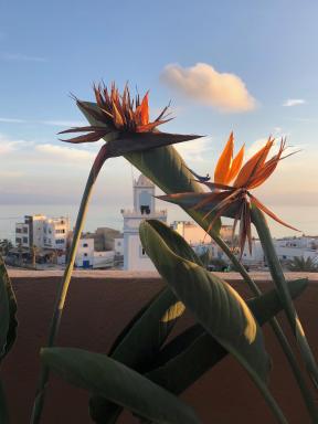 Traditional Moroccan House - Housity