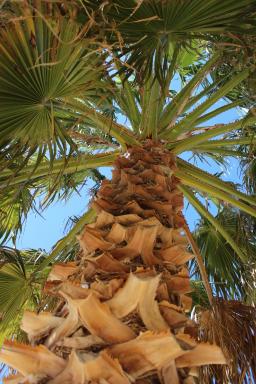 Sud Vacances - Housity