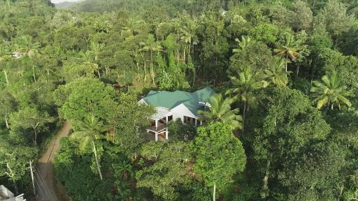 Coffee and Pepper Plantation Homestay - Housity