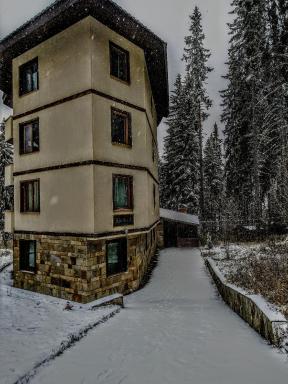 Evrika Forest - Housity