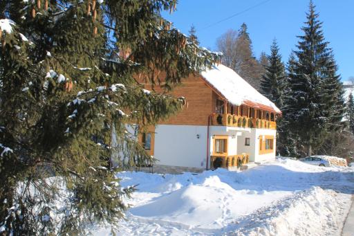 Arnica Montana - Housity