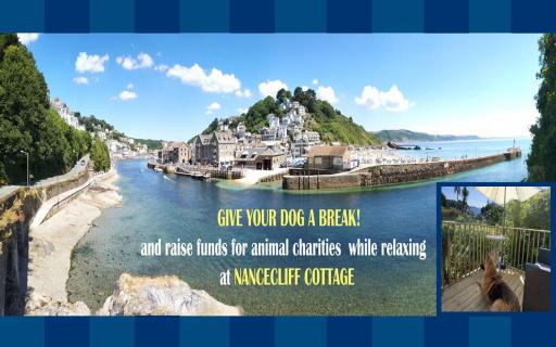 dog friendly nancecliff cottages - Housity