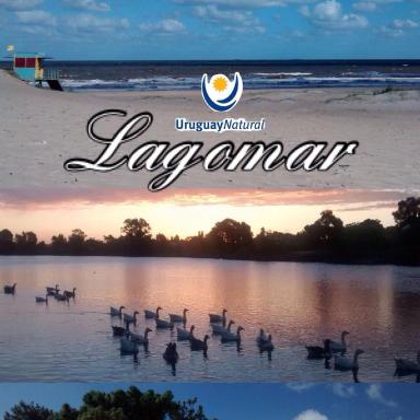 Lagomar - Housity