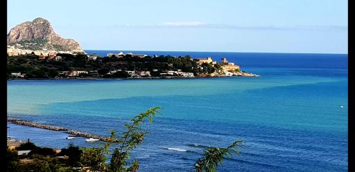 Villa Flore - Housity