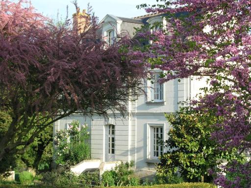 Le Chat Courant - Housity