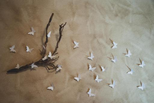 Casa Scalet - Housity